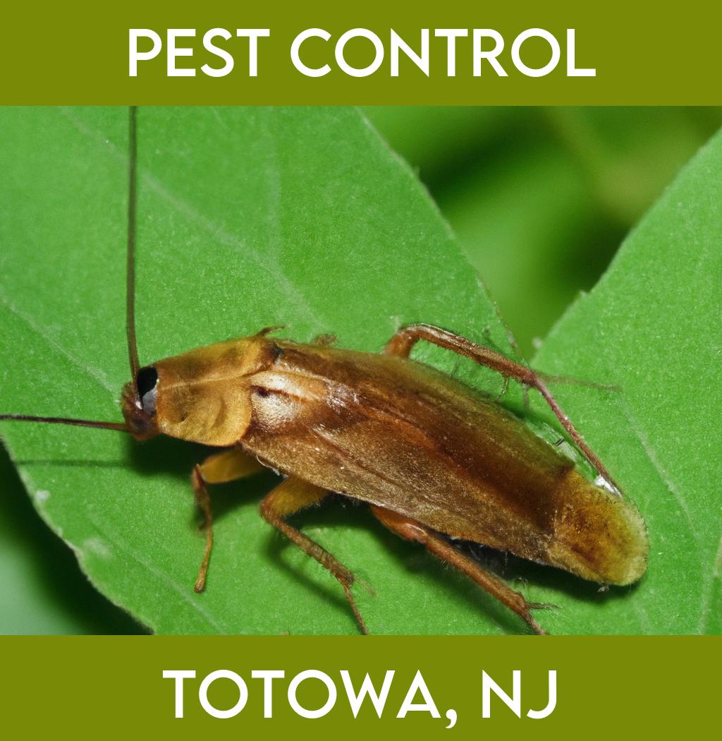 pest control in Totowa New Jersey