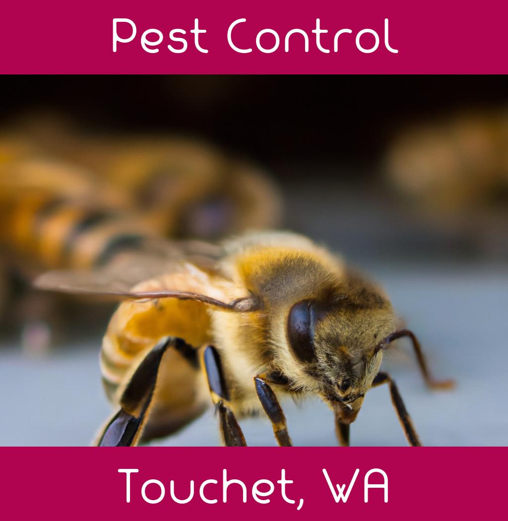 pest control in Touchet Washington