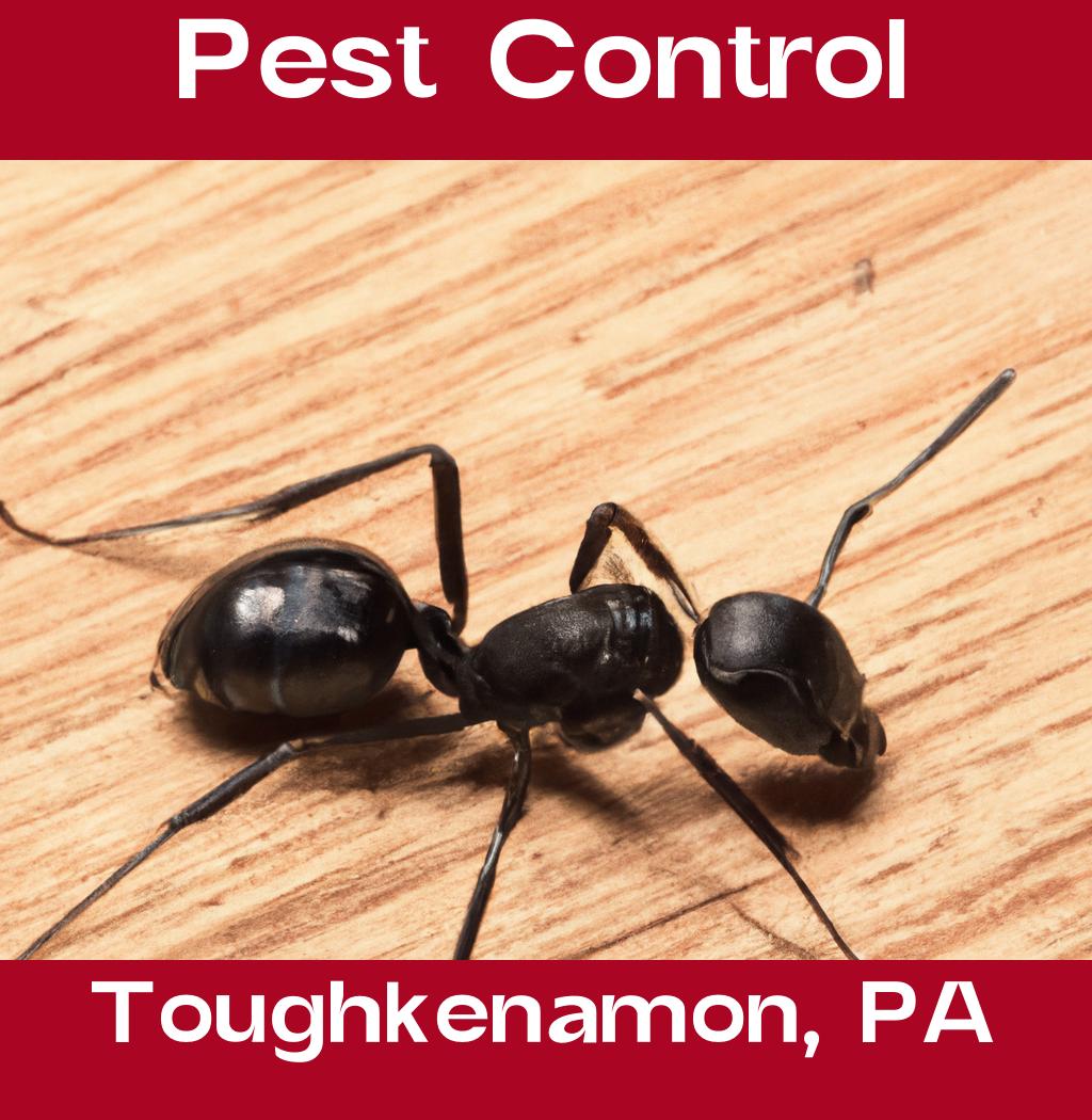 pest control in Toughkenamon Pennsylvania