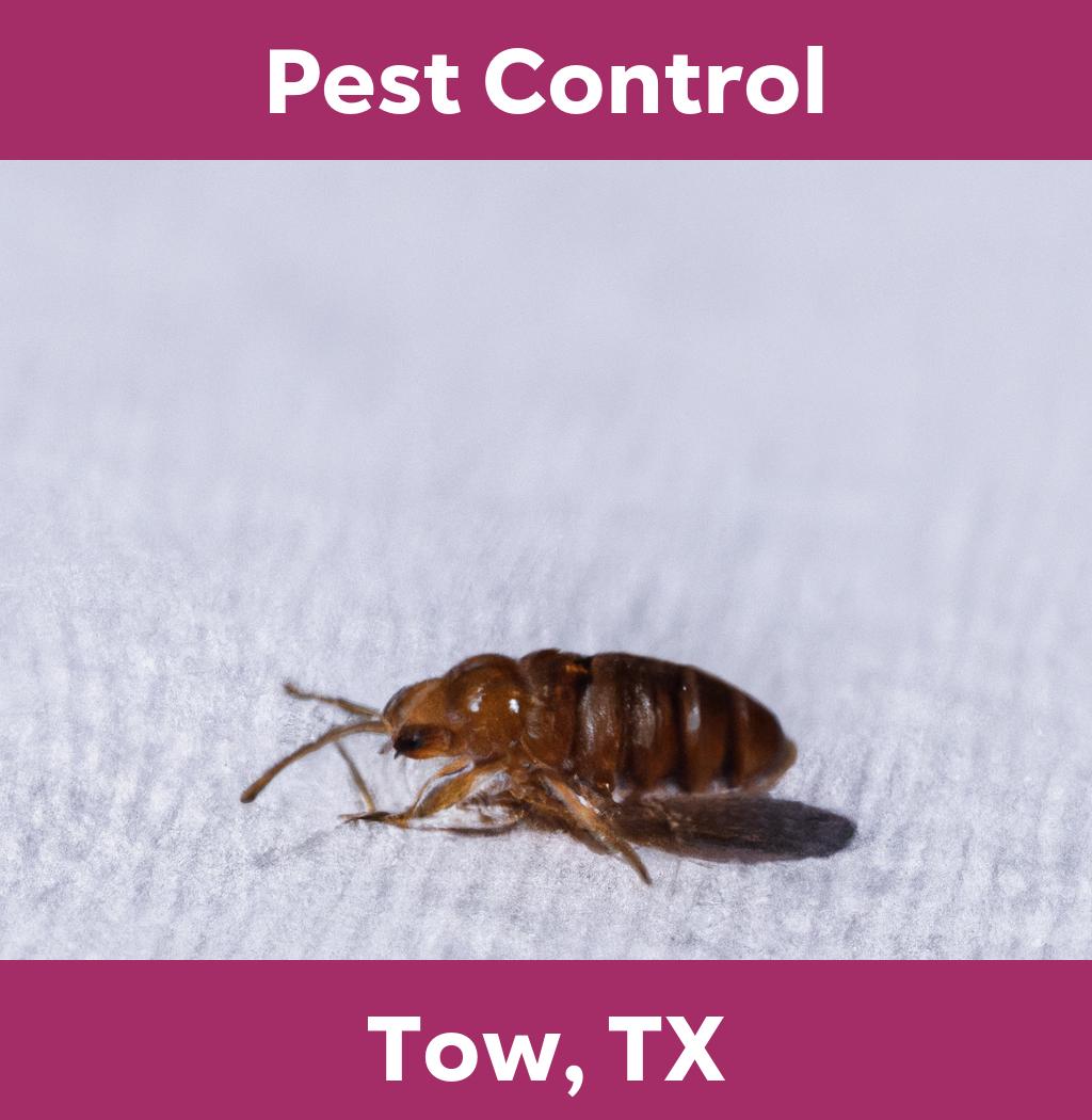 pest control in Tow Texas