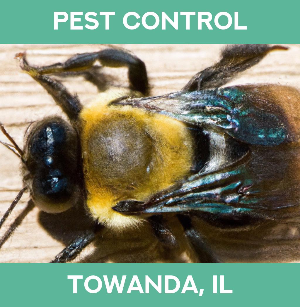 pest control in Towanda Illinois