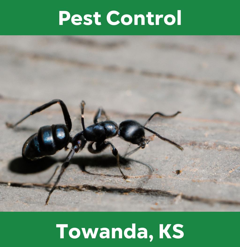 pest control in Towanda Kansas