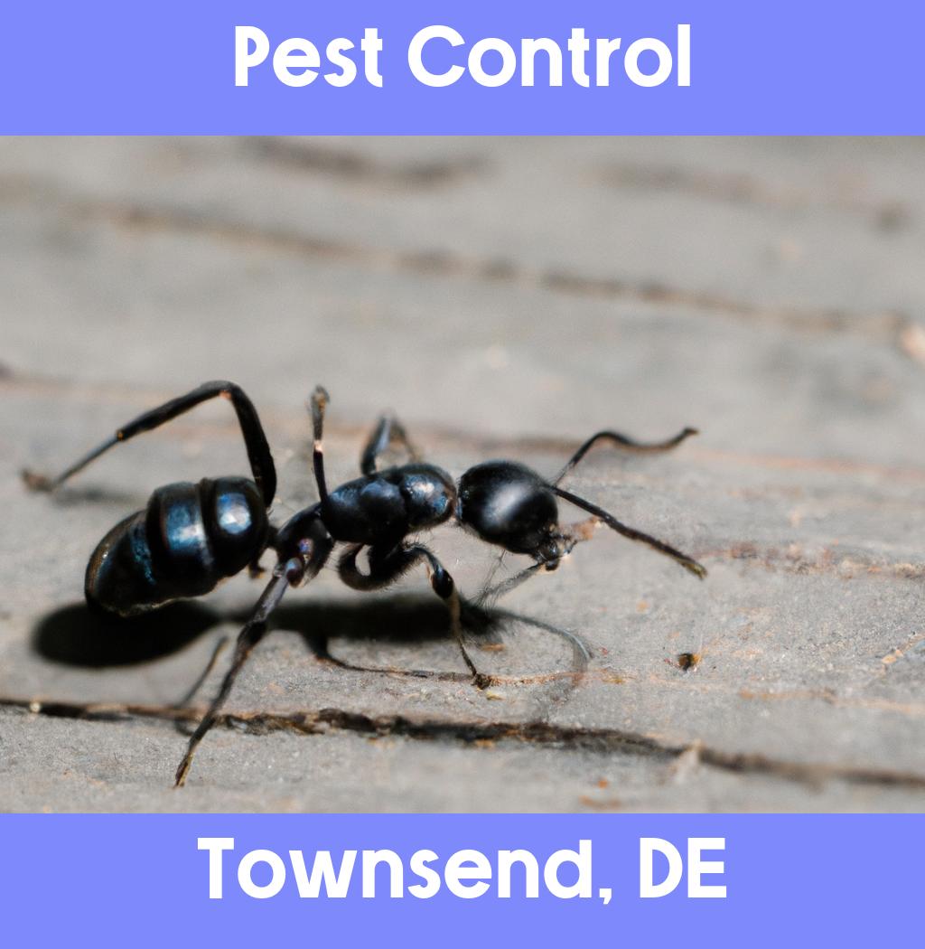 pest control in Townsend Delaware