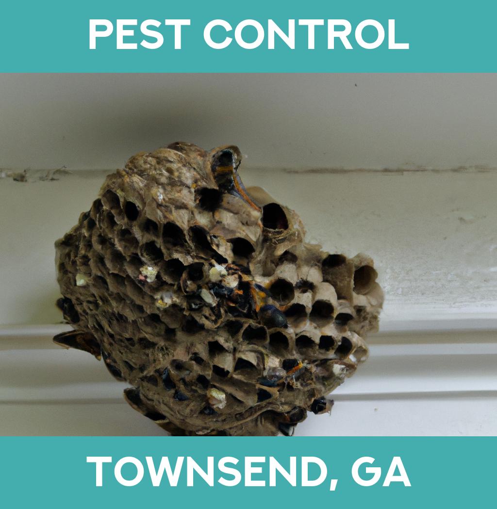 pest control in Townsend Georgia