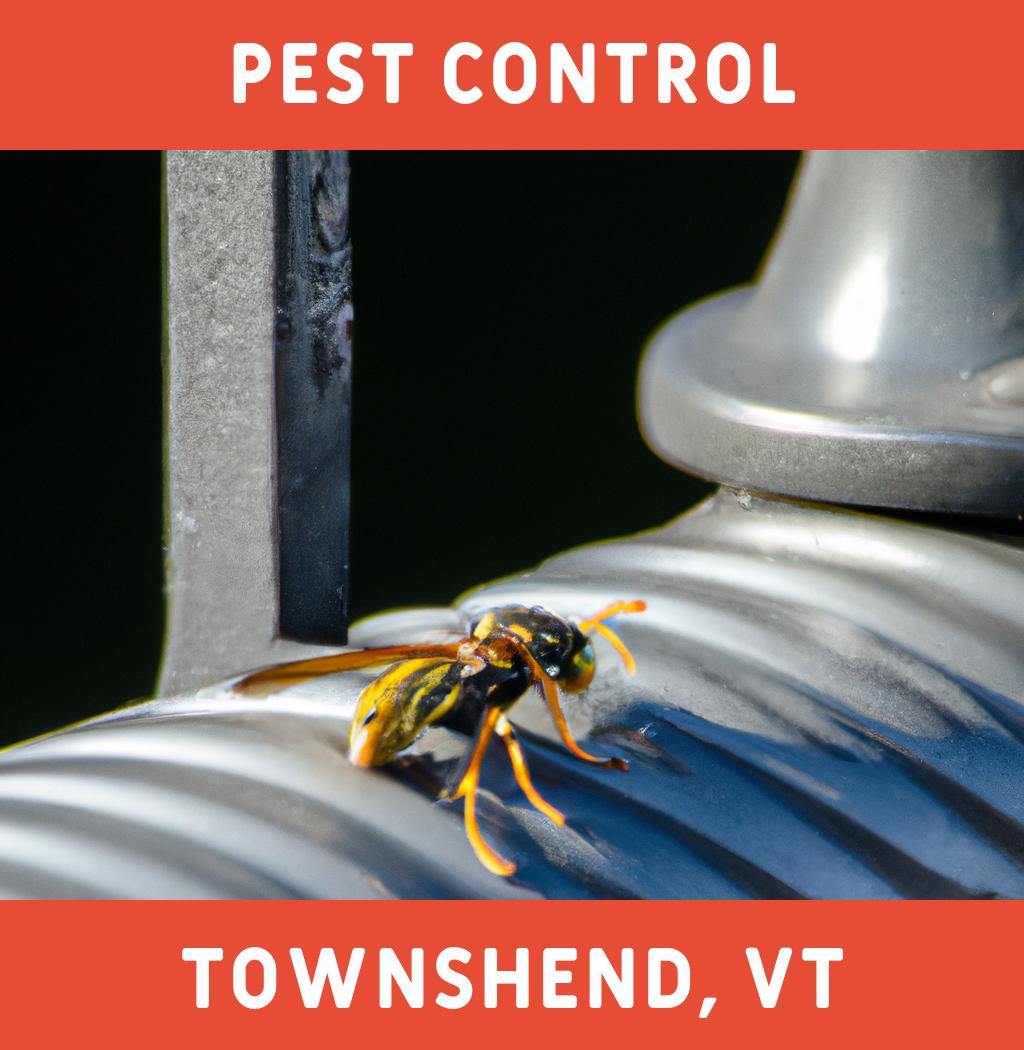 pest control in Townshend Vermont