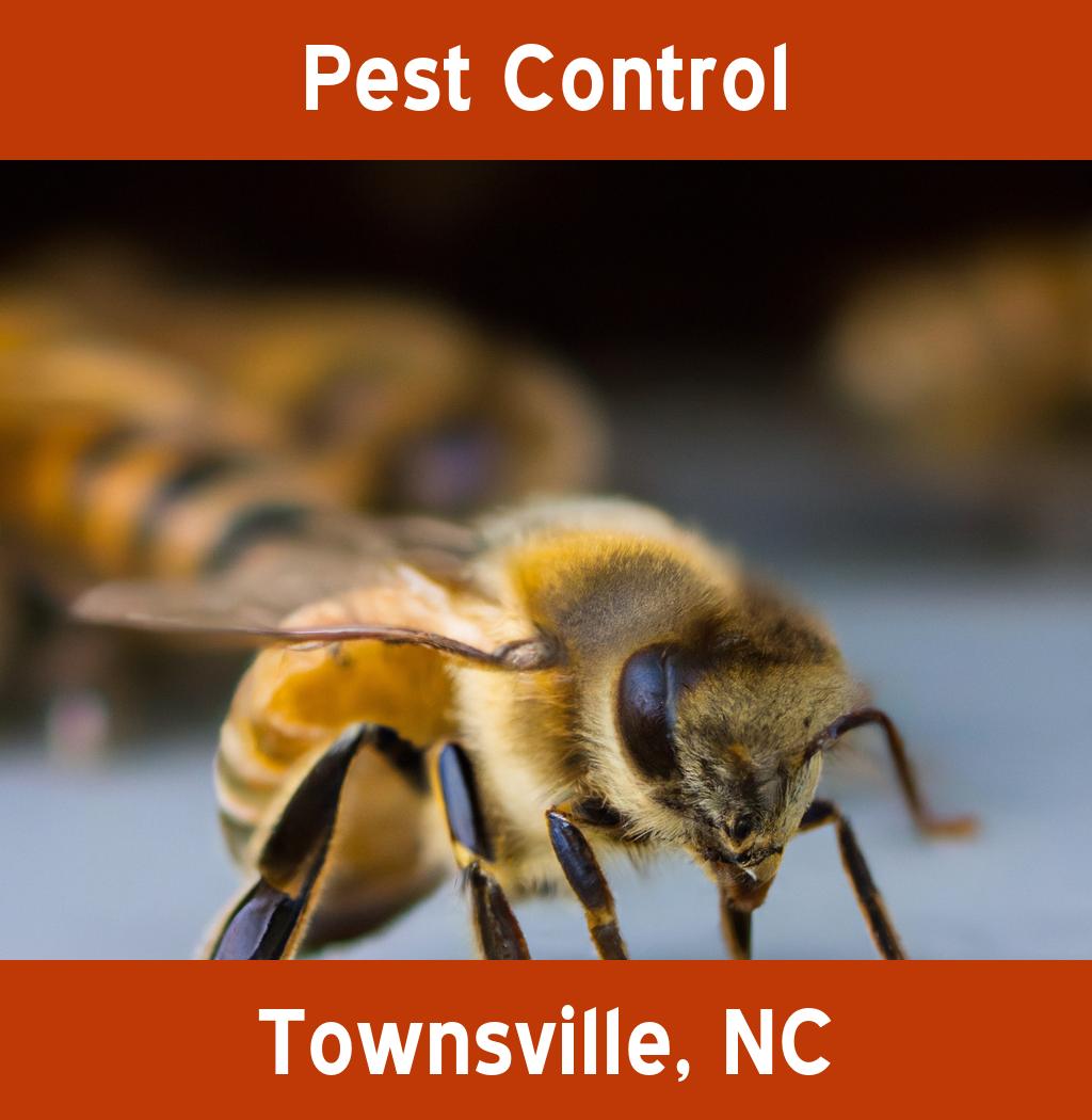 pest control in Townsville North Carolina