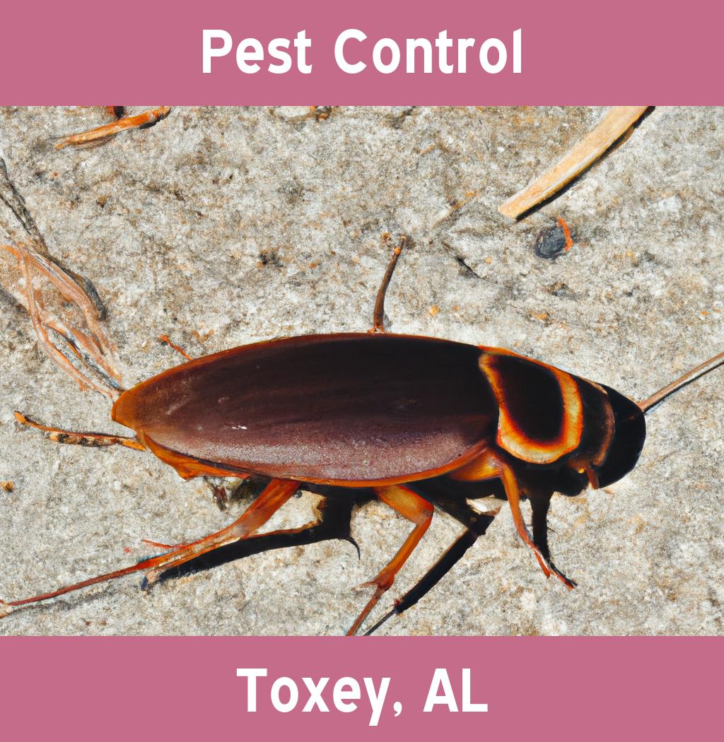 pest control in Toxey Alabama