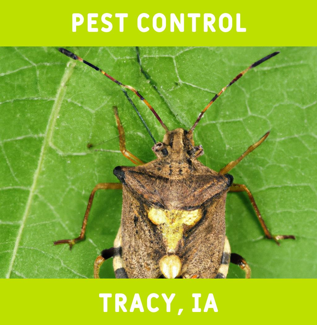pest control in Tracy Iowa