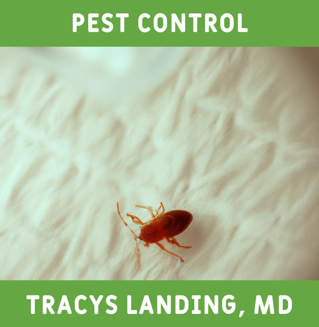 pest control in Tracys Landing Maryland