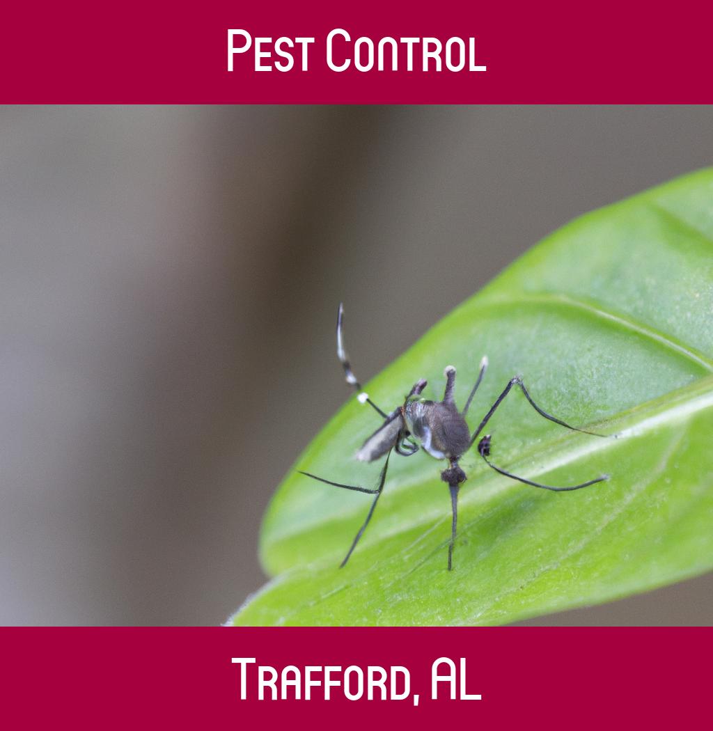 pest control in Trafford Alabama