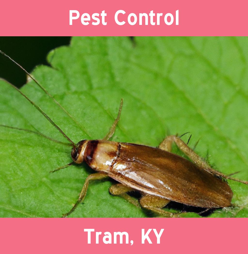 pest control in Tram Kentucky