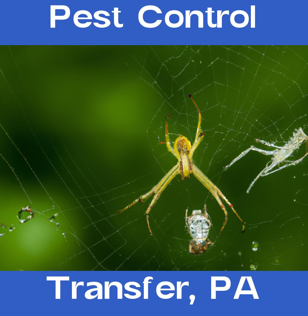 pest control in Transfer Pennsylvania