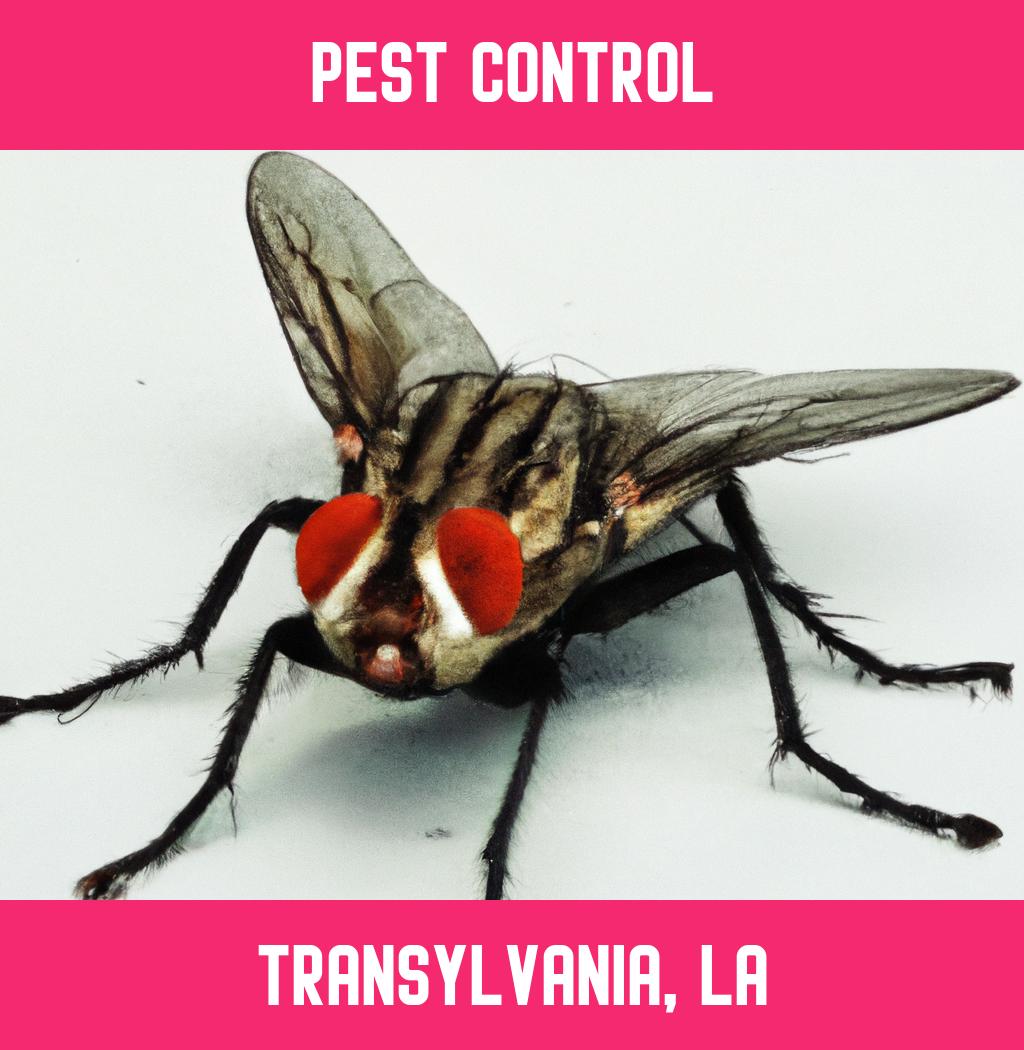 pest control in Transylvania Louisiana