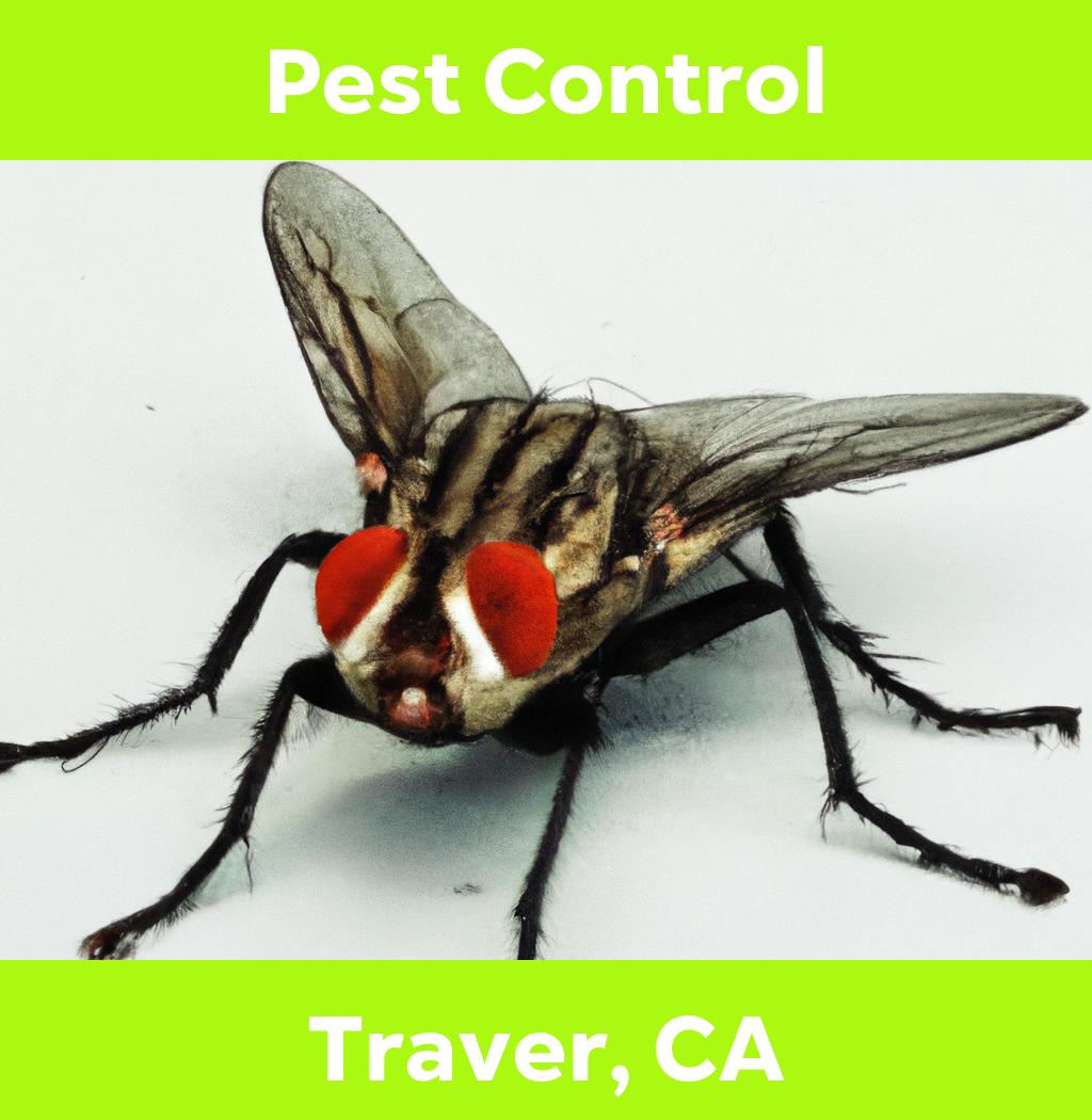 pest control in Traver California