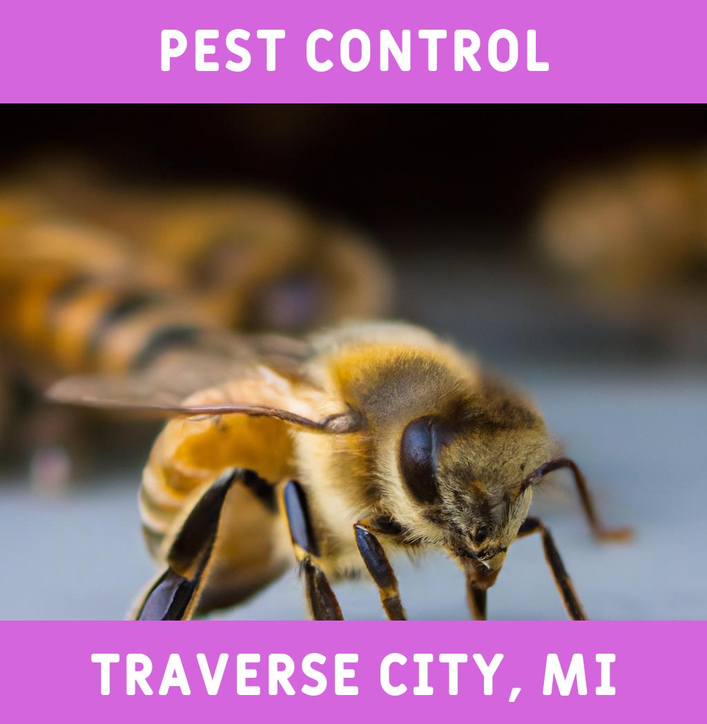 pest control in Traverse City Michigan