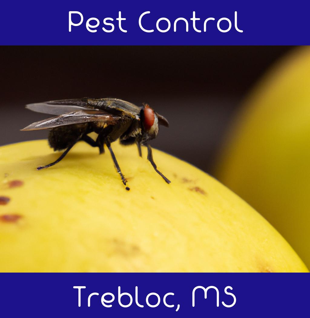 pest control in Trebloc Mississippi