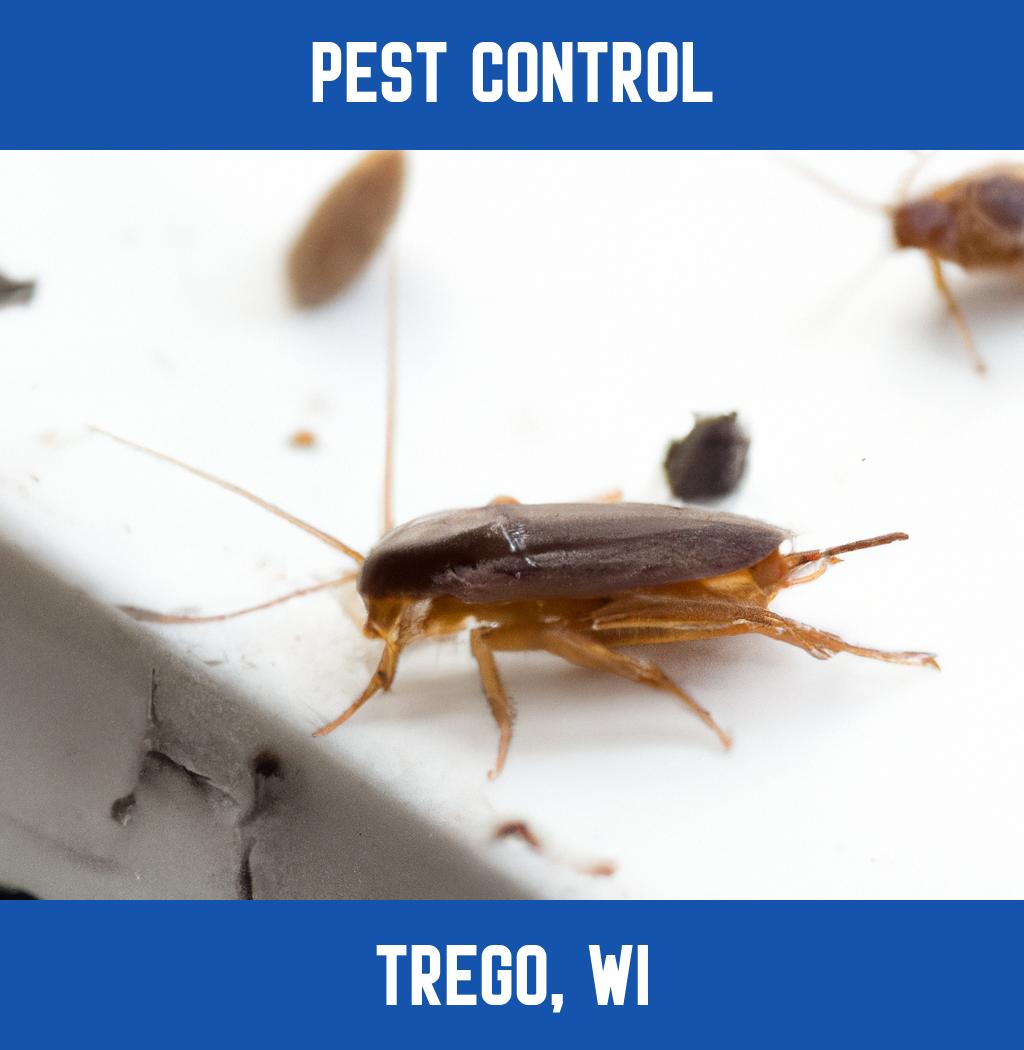pest control in Trego Wisconsin
