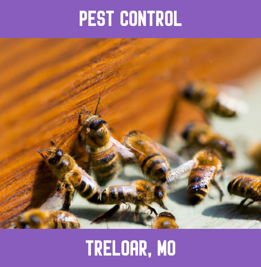 pest control in Treloar Missouri