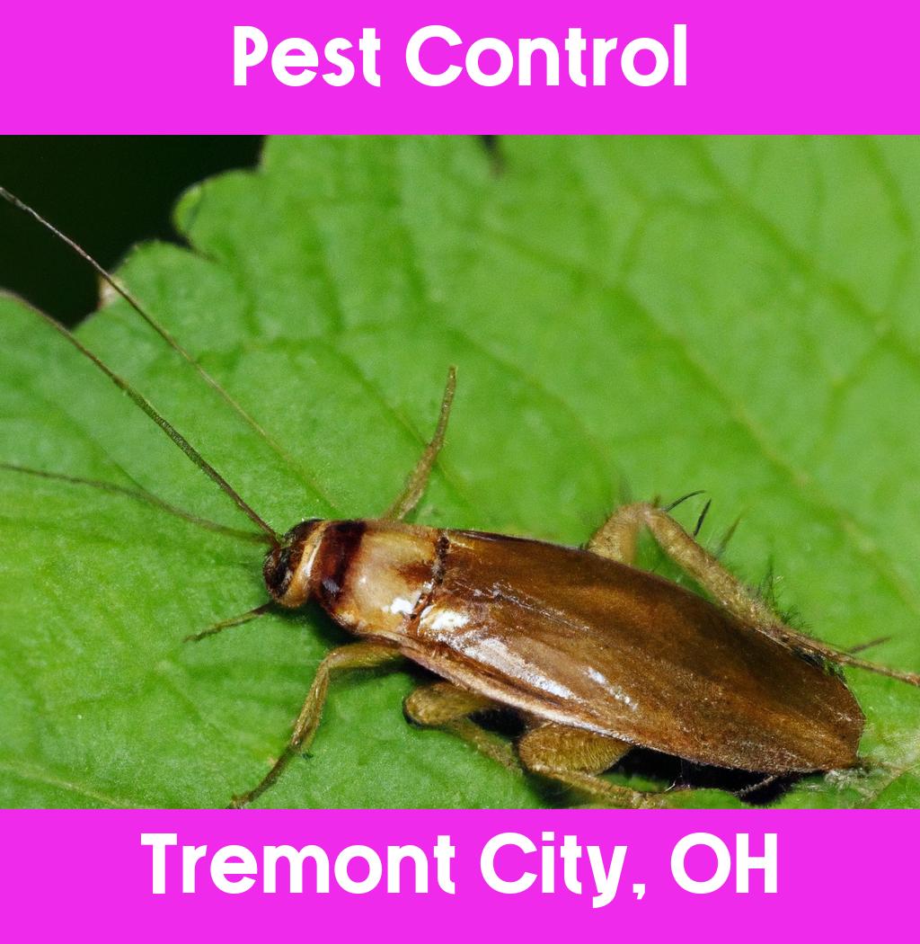 pest control in Tremont City Ohio