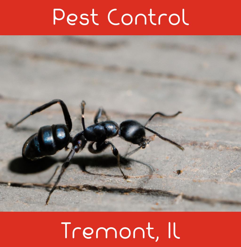 pest control in Tremont Illinois