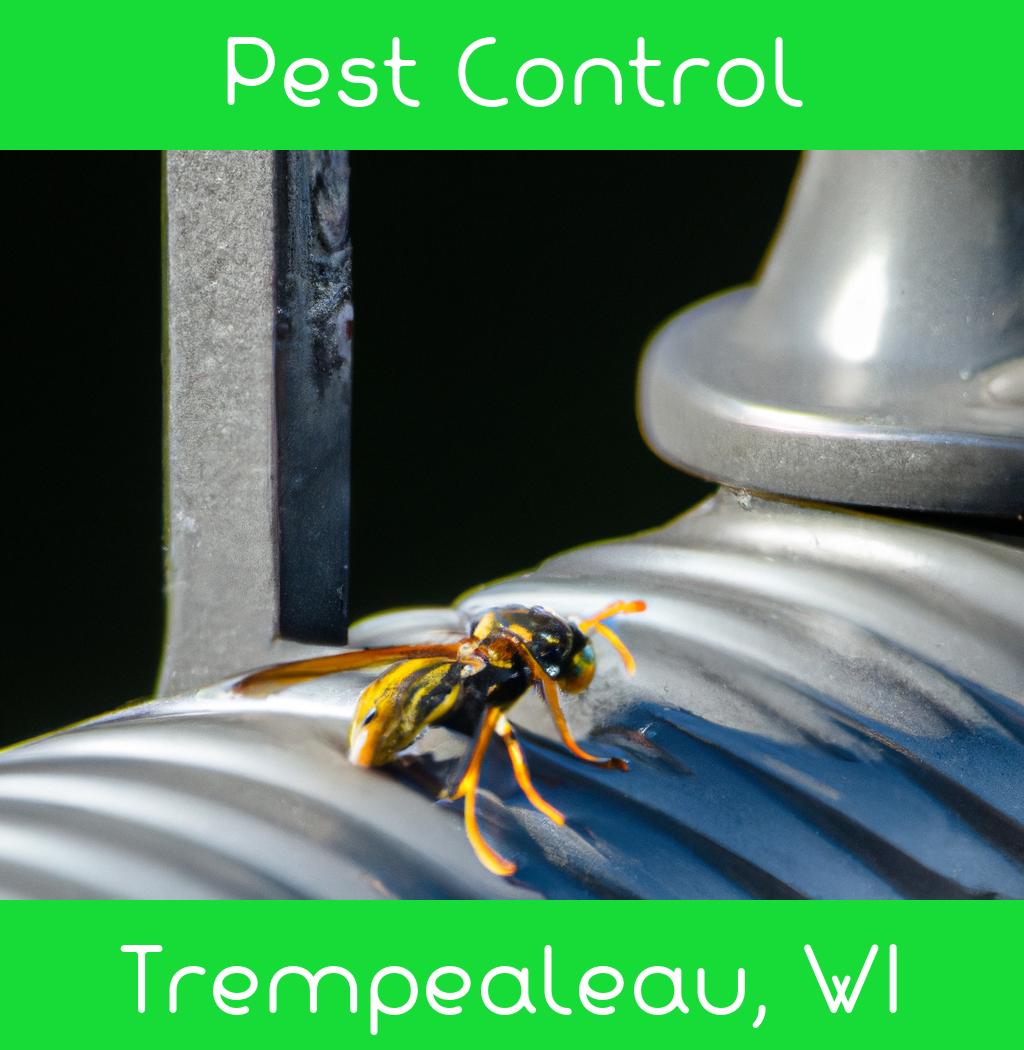 pest control in Trempealeau Wisconsin