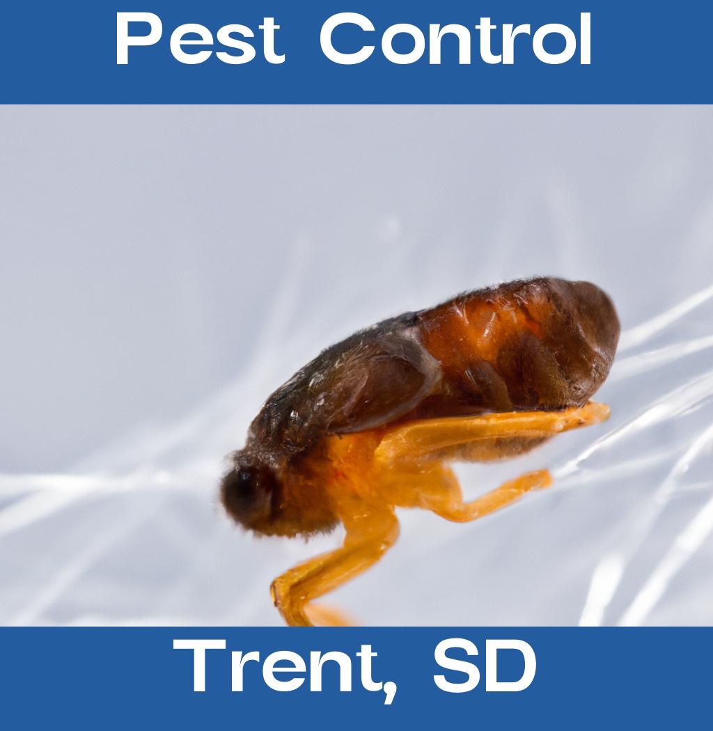 pest control in Trent South Dakota