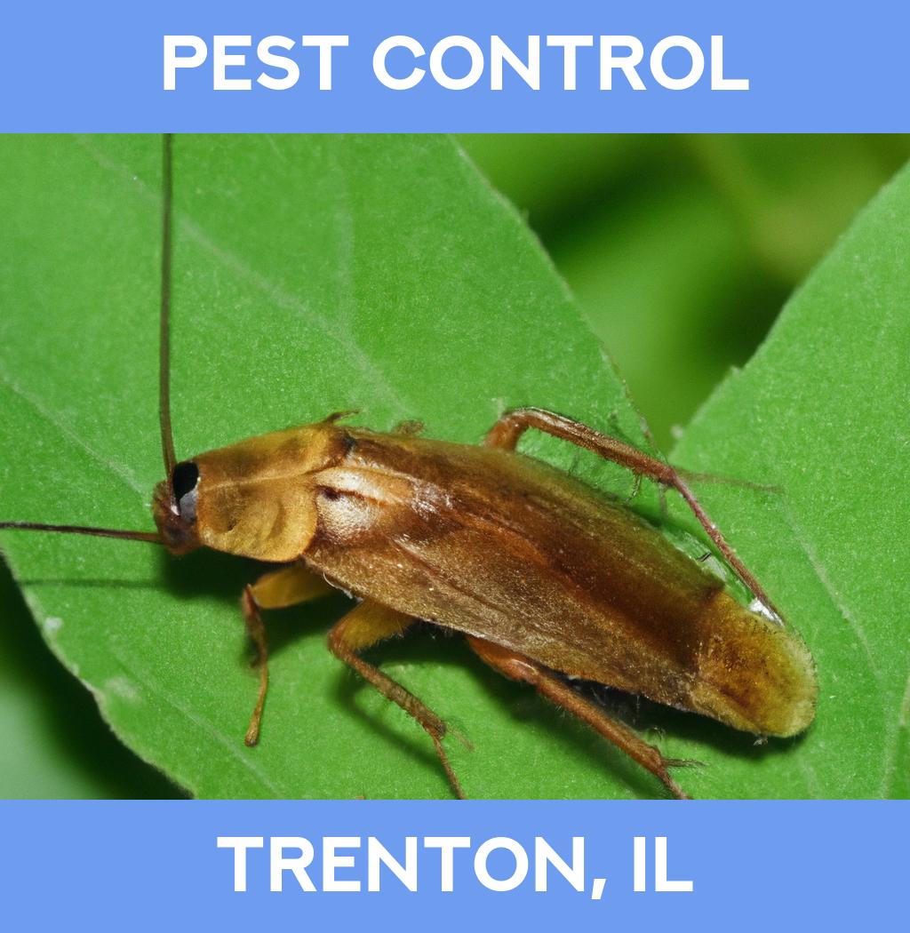 pest control in Trenton Illinois