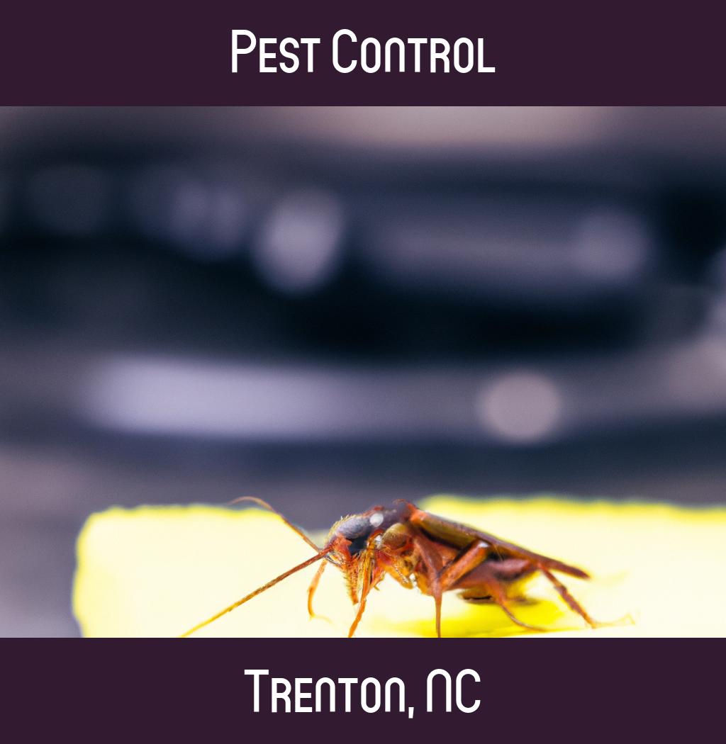 pest control in Trenton North Carolina