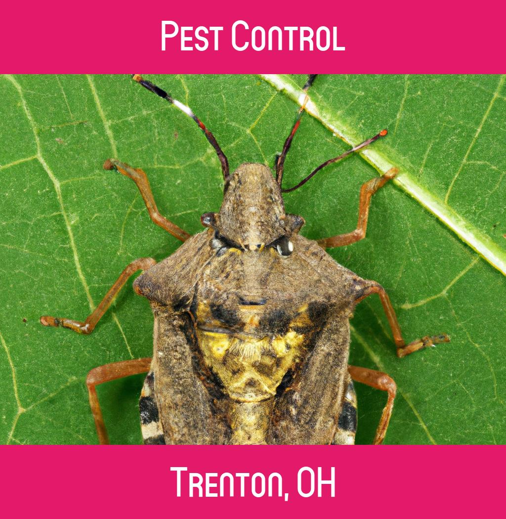 pest control in Trenton Ohio