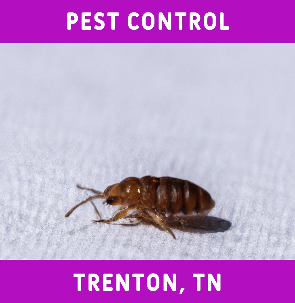 pest control in Trenton Tennessee