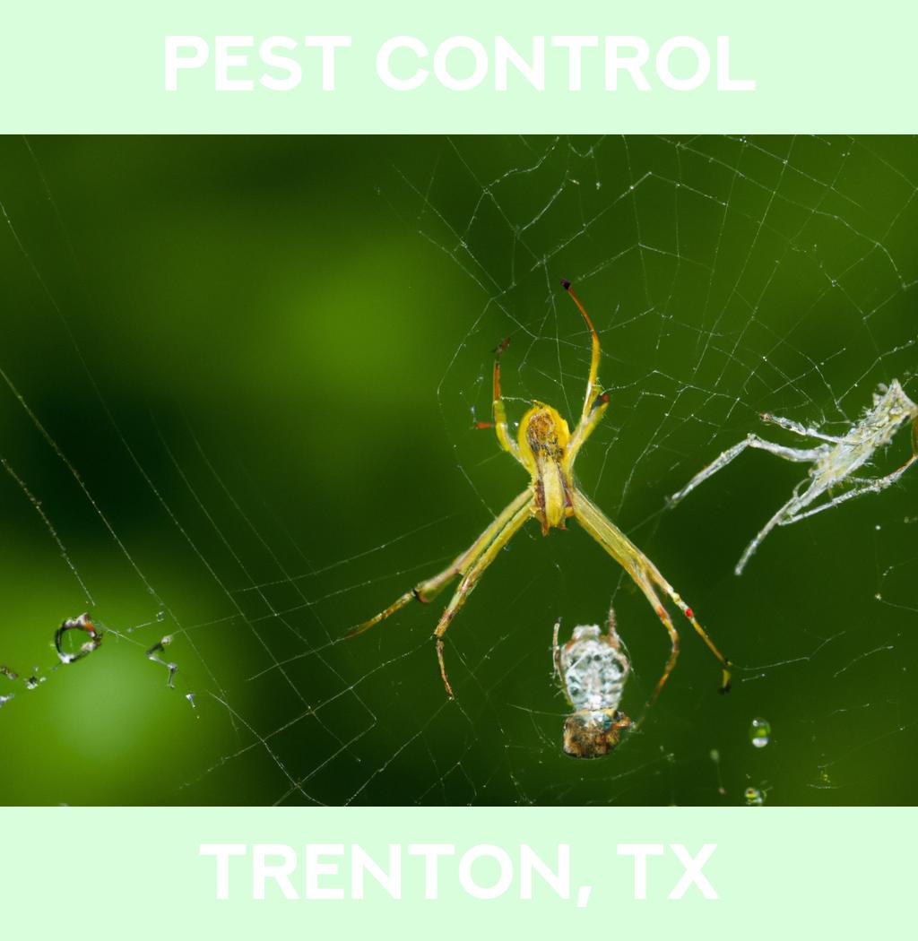 pest control in Trenton Texas