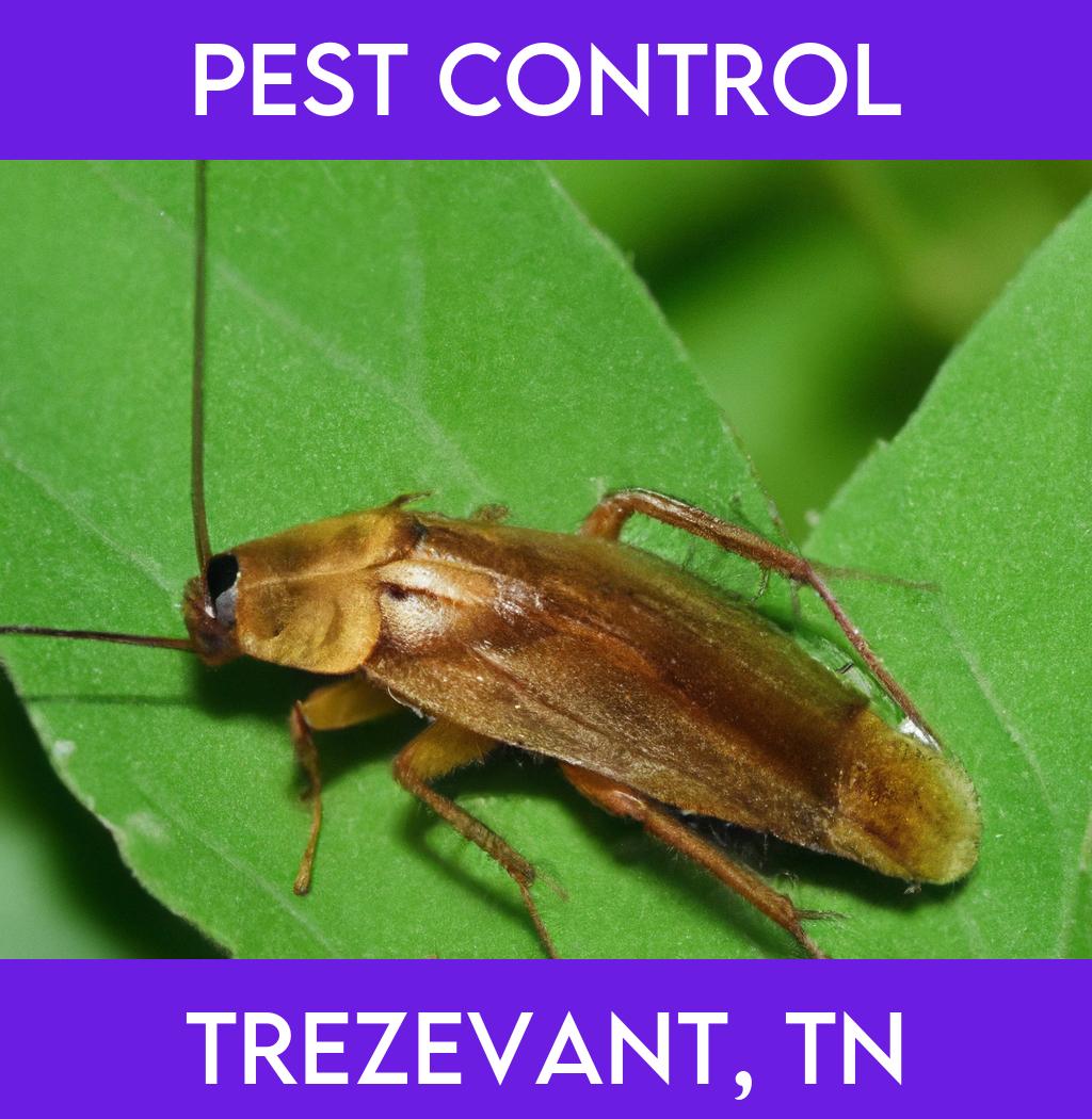 pest control in Trezevant Tennessee