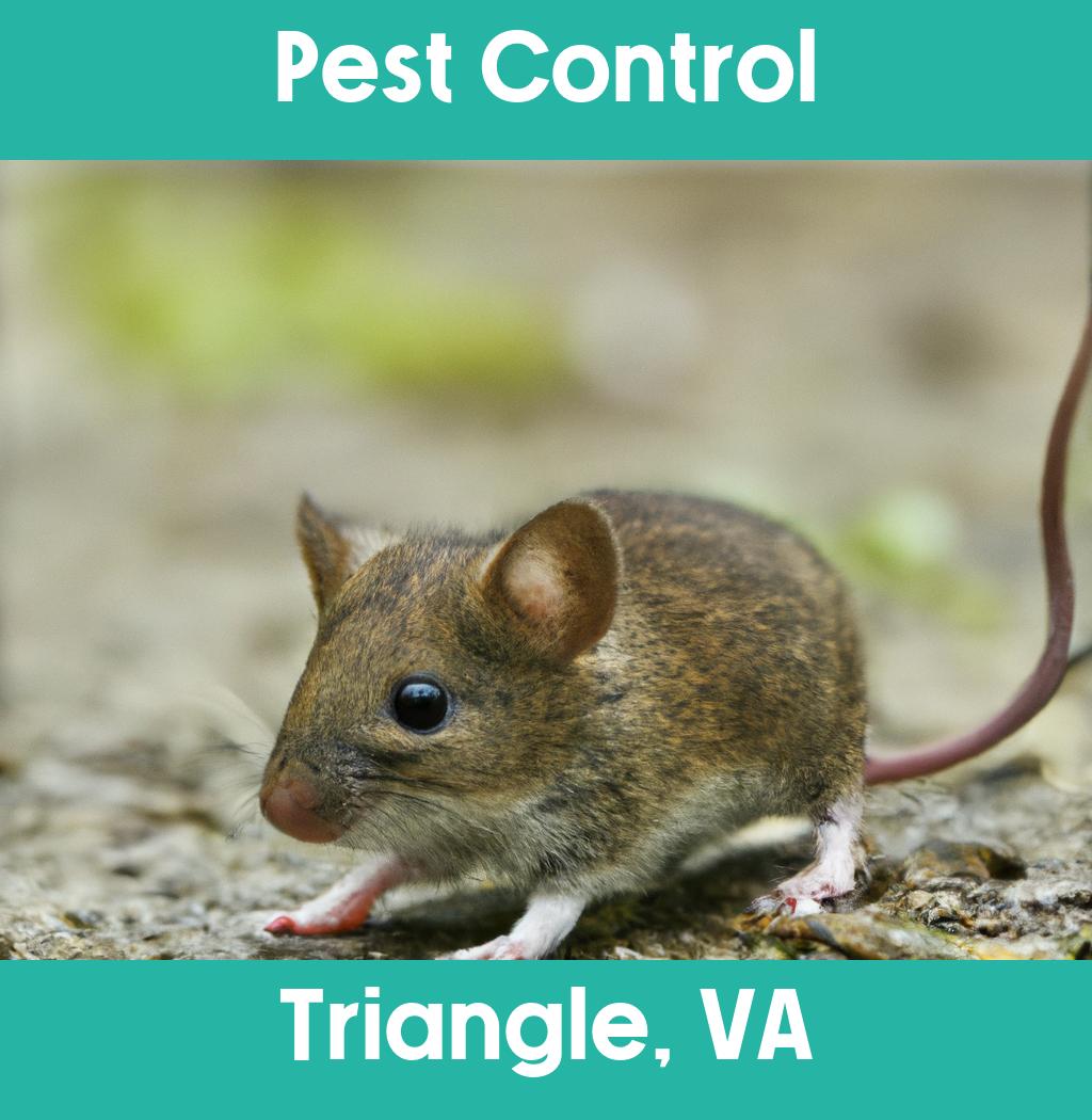 pest control in Triangle Virginia
