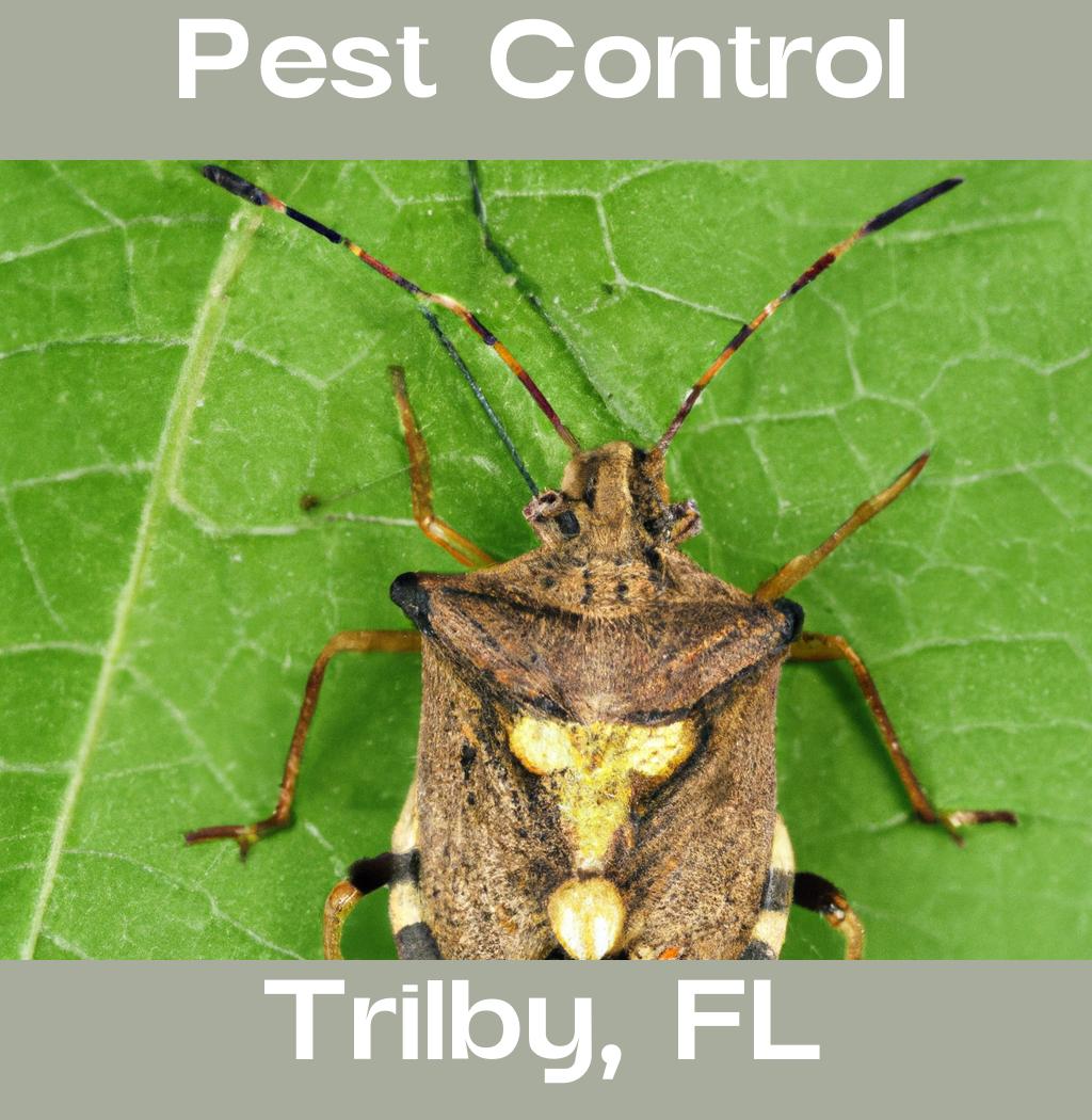 pest control in Trilby Florida