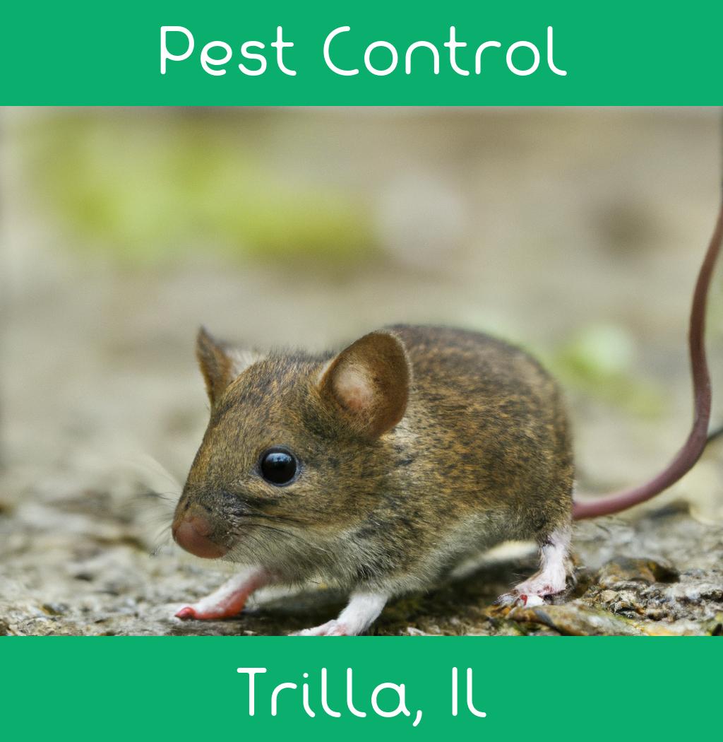 pest control in Trilla Illinois