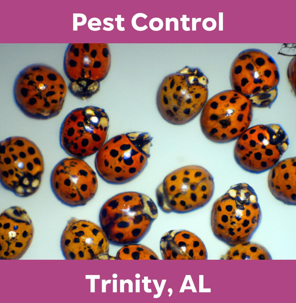 pest control in Trinity Alabama