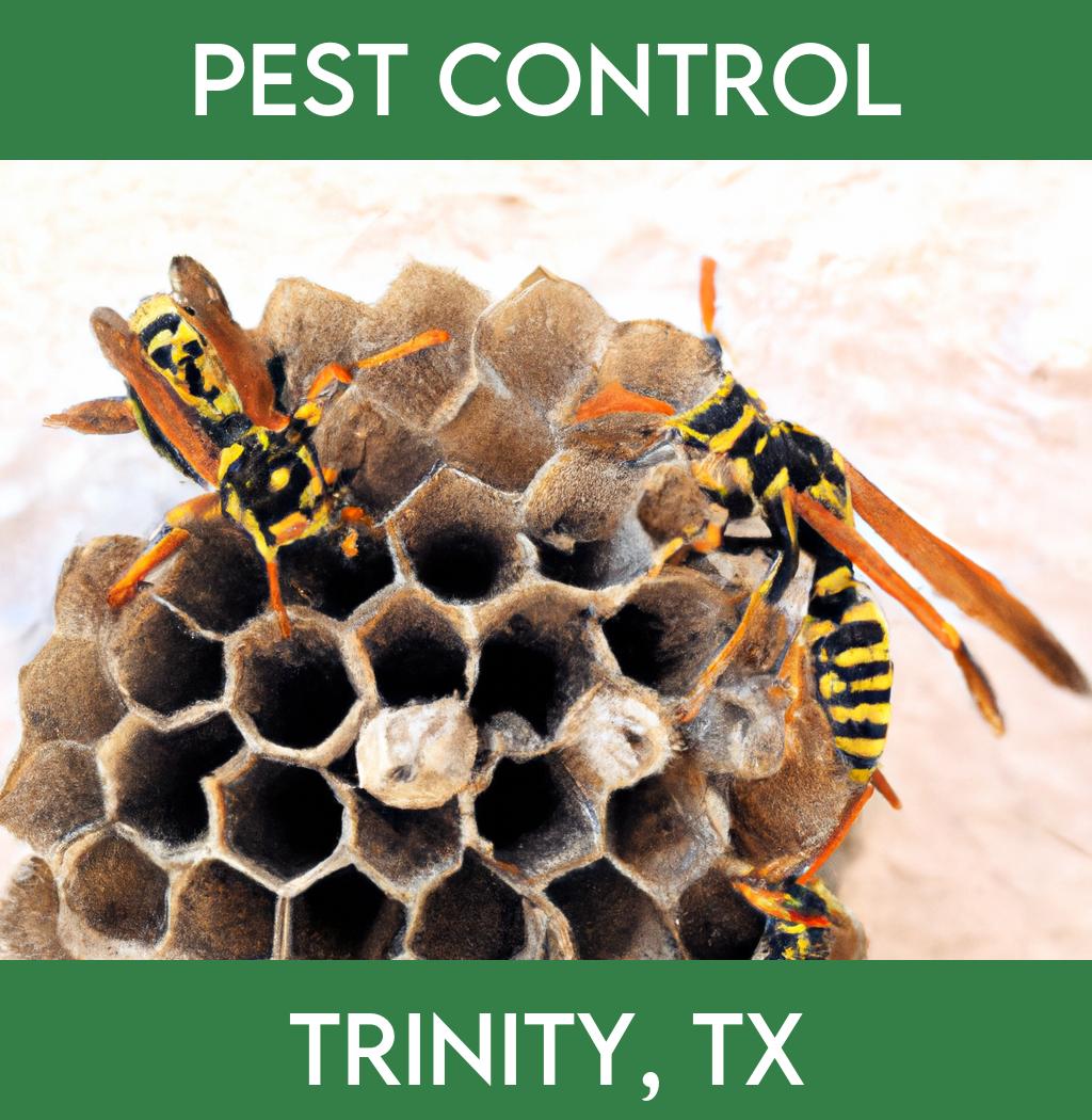 pest control in Trinity Texas