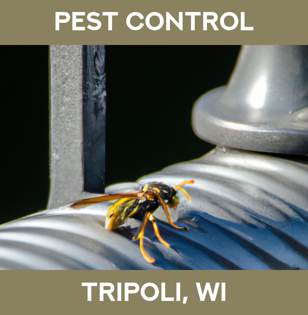 pest control in Tripoli Wisconsin