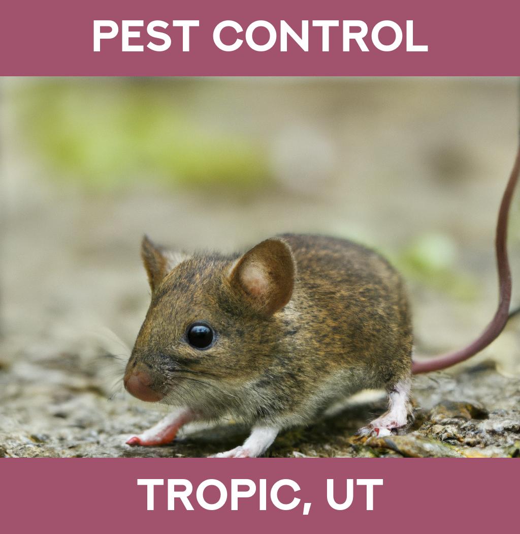 pest control in Tropic Utah