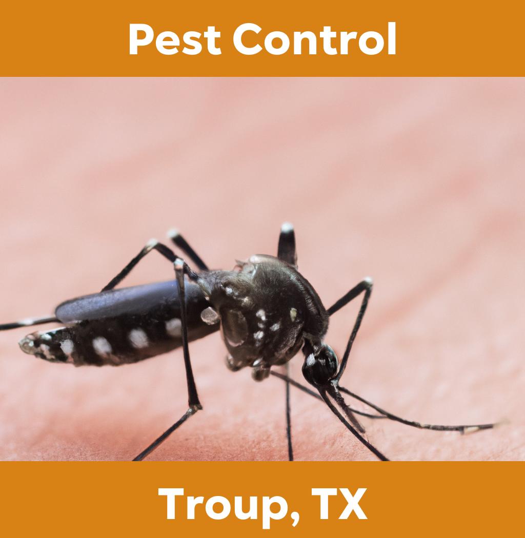 pest control in Troup Texas