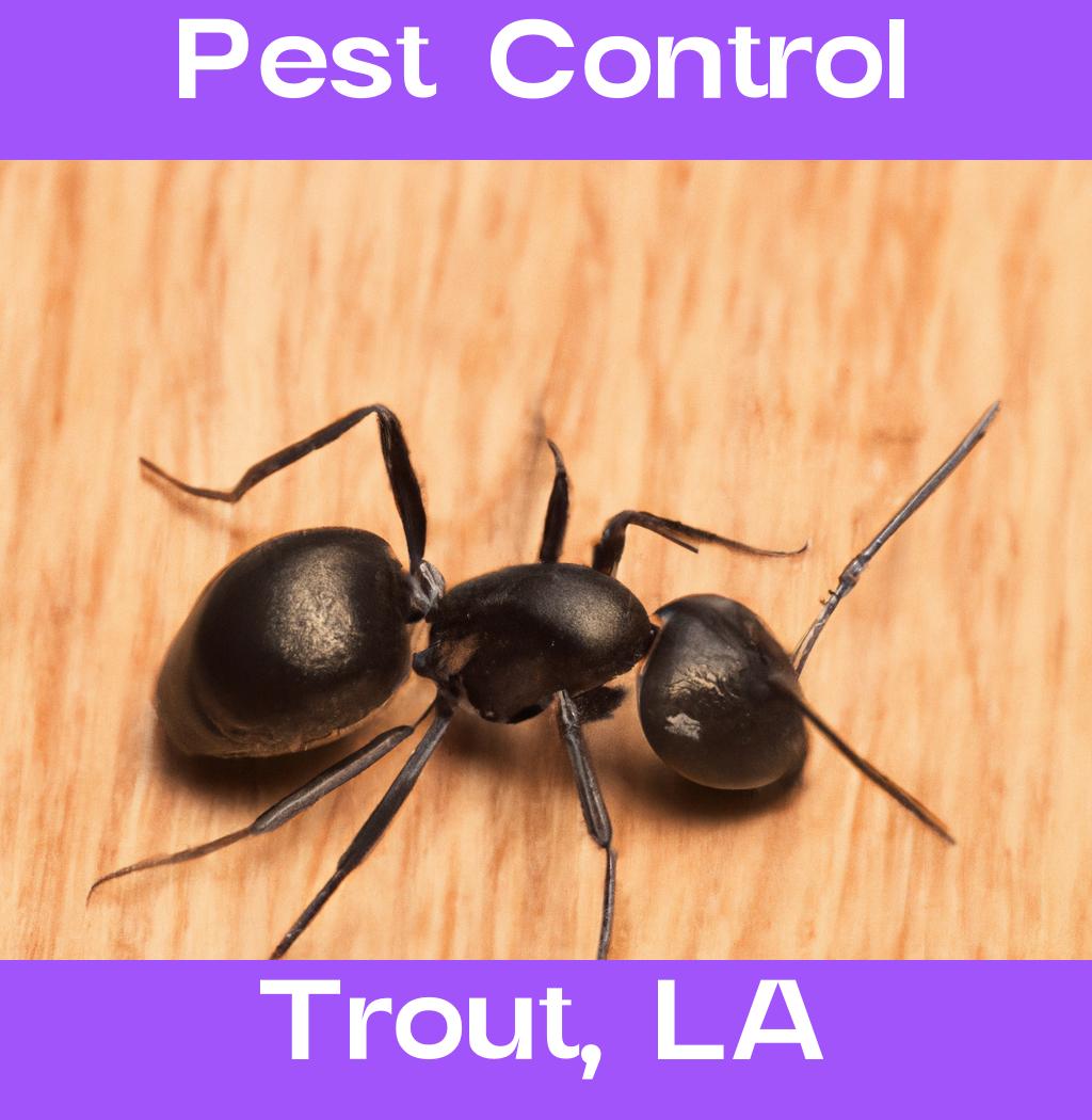 pest control in Trout Louisiana