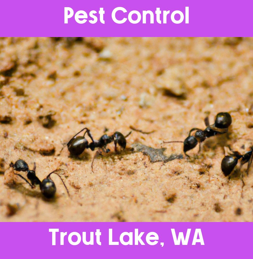 pest control in Trout Lake Washington