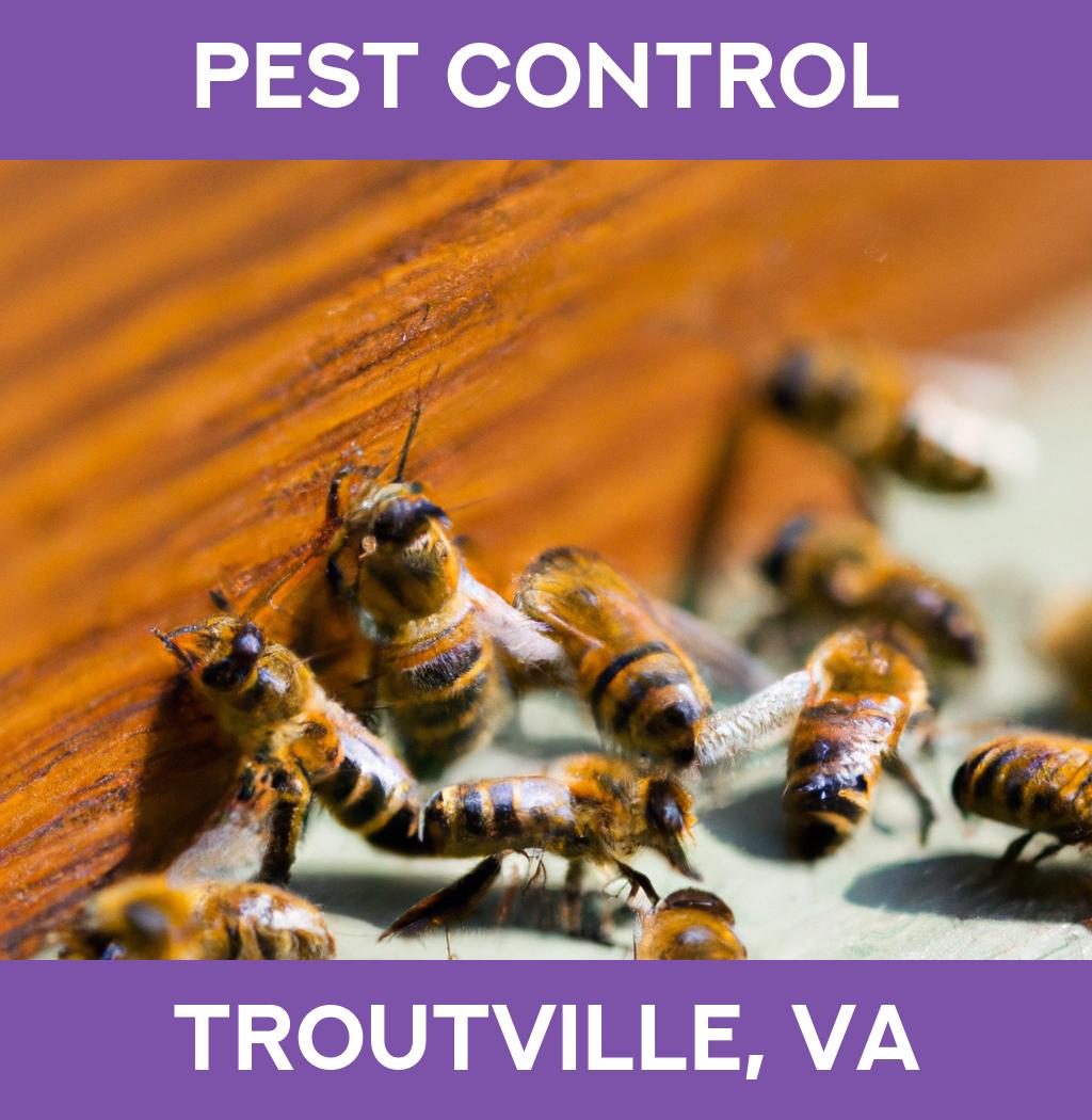 pest control in Troutville Virginia