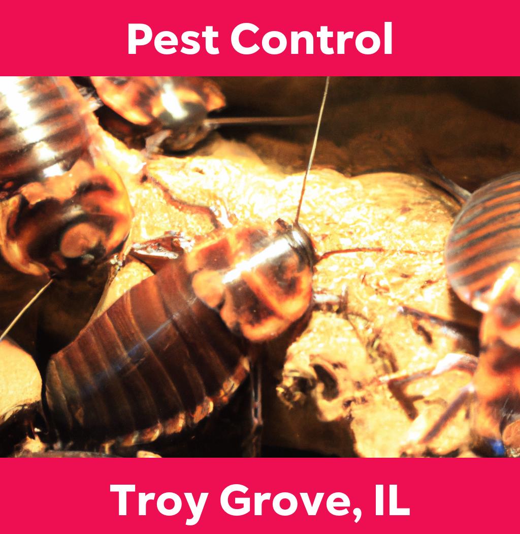 pest control in Troy Grove Illinois