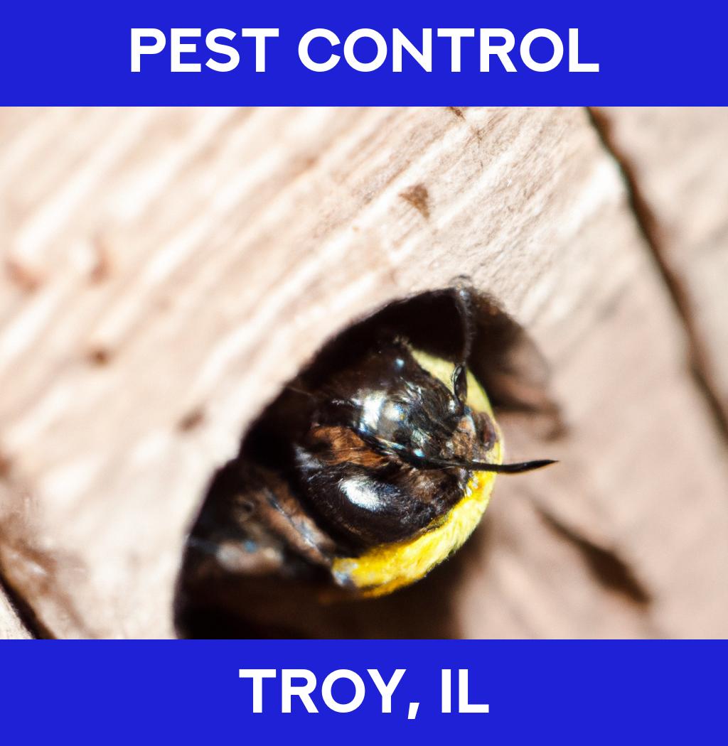 pest control in Troy Illinois