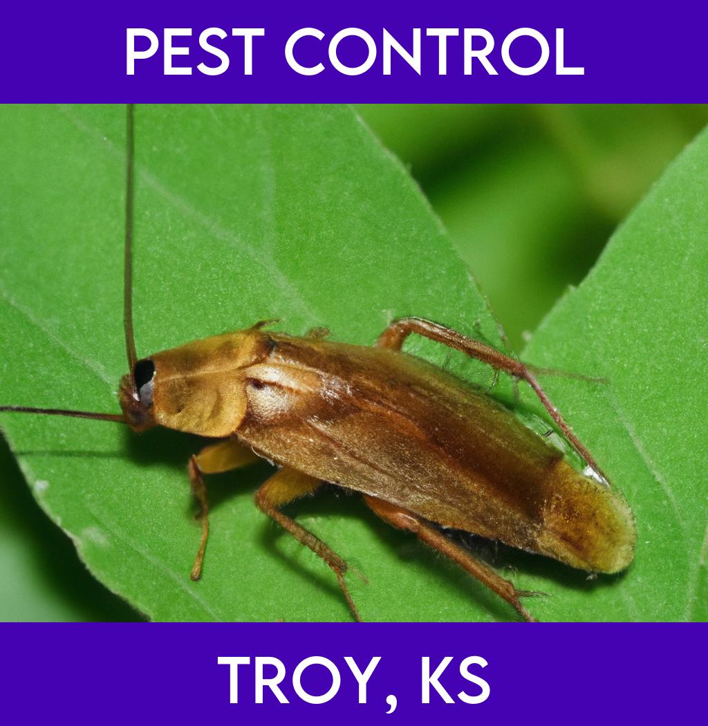 pest control in Troy Kansas
