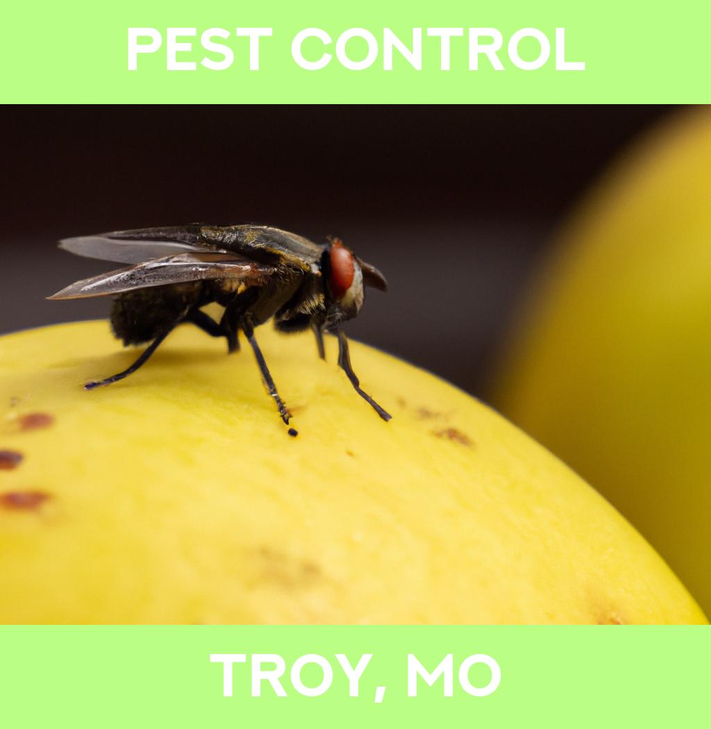 pest control in Troy Missouri