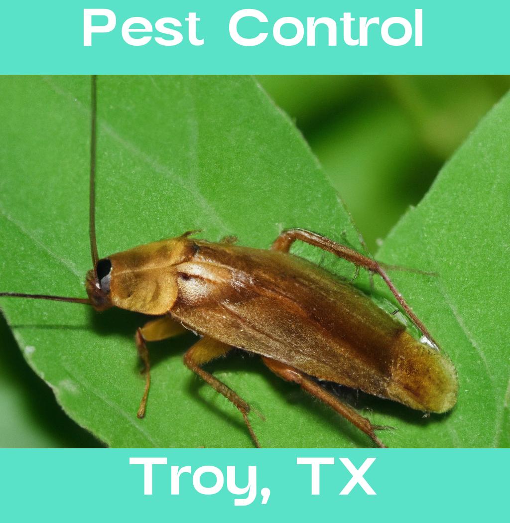 pest control in Troy Texas