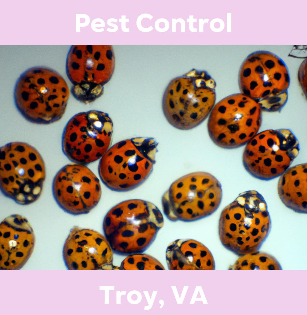 pest control in Troy Virginia