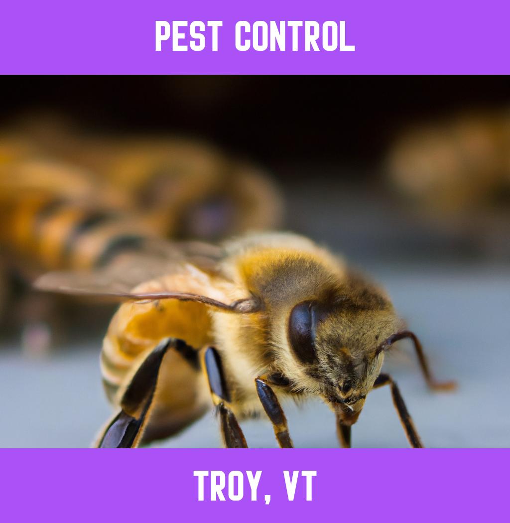 pest control in Troy Vermont
